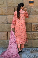 2 Piece - Printed Lawn Suit - Zareen