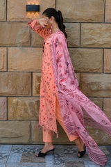 2 Piece - Printed Lawn Suit - Zareen