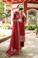 Ruby | Maroon Hand-Embellished Métallique Organza