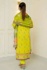 2 Piece - Printed Lawn Suit - Aabroo