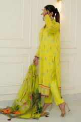 2 Piece - Printed Lawn Suit - Aabroo