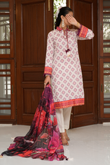 2 Piece - Printed Lawn Suit - Zayrah