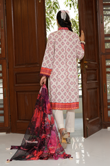 2 Piece - Printed Lawn Suit - Zayrah