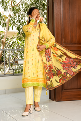 2 Piece - Printed Lawn Suit - Sereneh