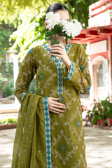 Heena | Hand-Embellished Métallique Organza