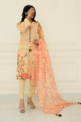 2 Piece - Printed Lawn Suit - Nooraya
