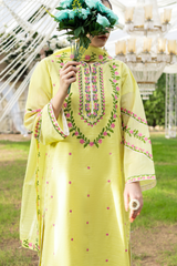 Ophira | Hand-Embellished Métallique Organza