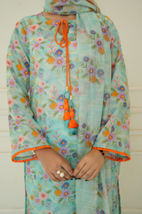 2 Piece - Printed Lawn Suit - Aleeza
