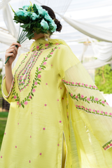 Ophira | Hand-Embellished Métallique Organza