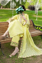 Ophira | Hand-Embellished Métallique Organza