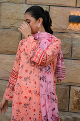 2 Piece - Printed Lawn Suit - Zareen