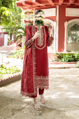 Ruby | Maroon Hand-Embellished Métallique Organza