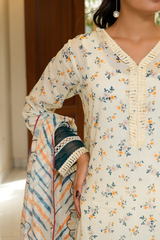 2 Piece - Printed Lawn Suit - Naaz
