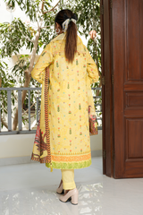2 Piece - Printed Lawn Suit - Sereneh