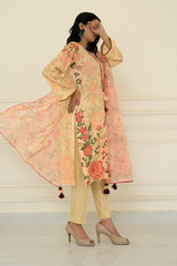 2 Piece - Printed Lawn Suit - Nooraya