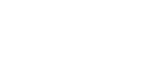 Tasneem Shamim (Global)